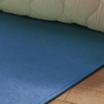 畳ベッドの湿気対策。寝具用除湿シート