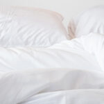 11月のおすすめ記事 その1: 「冬でも寝室が暖かい。どんな寝具を選べばよい？」